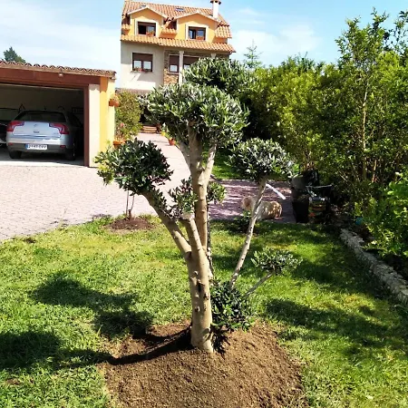 Apartamento Casa A Brana O Grove Exterior photo